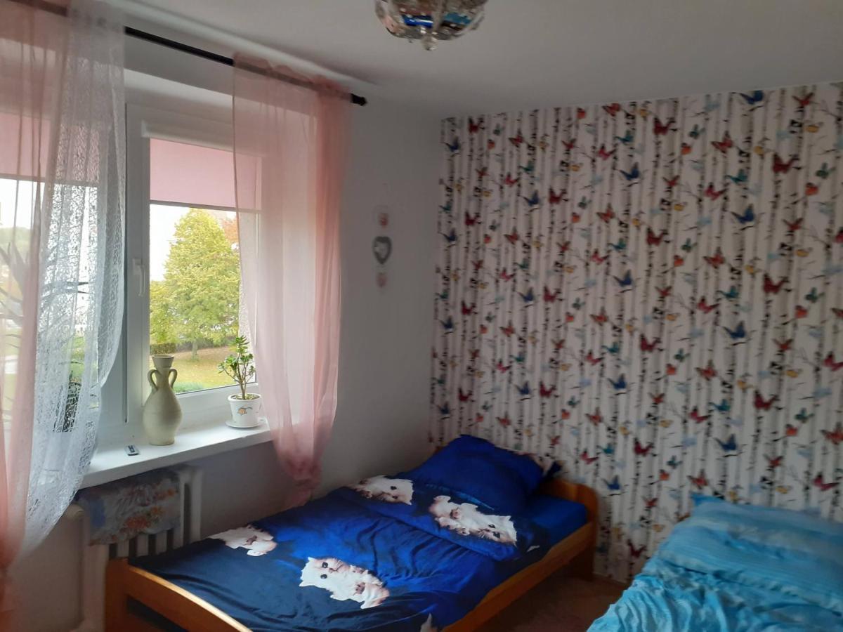 Lazurowy Apartment